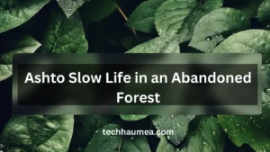 Guest Post - TechHaumea.com