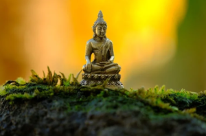 Guest Post - PiviTurf.com