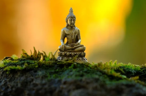 Guest Post - PiviTurf.com