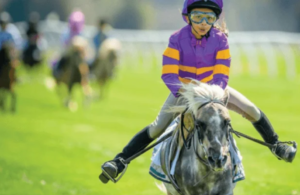 Guest Post - HipposTurf.com