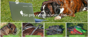 Guest Post - City-Dog.cz